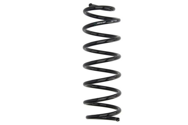 Hinterachse Magnum Technology SR161MT Fahrwerksfeder FüR Renault-image