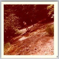 Vtg B&W Snapshot Man Walking Stream Creek Wooden Bridge Forest Trees Outdoors