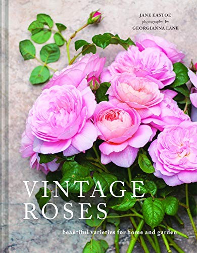 Vintage Roses: A beautiful photographic guide for growing and cutting flower va - Image 8