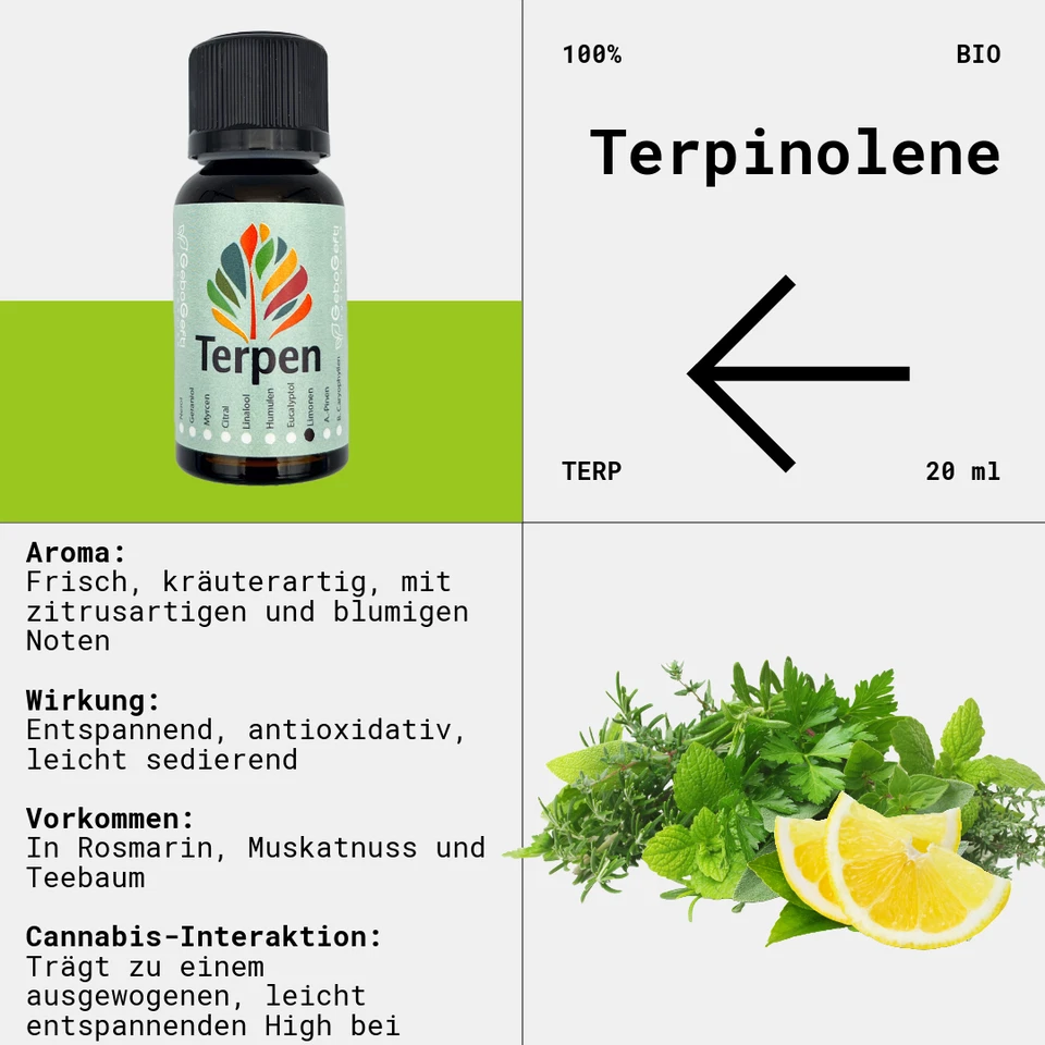 GEBO GEFTI HYDROPONICS Terpinolene 20 ml | Reines Terpen