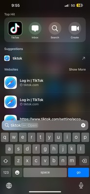 iPhone 13 Pro Max With TikTok