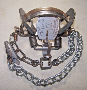 Duke # 2 CS Offset Coil Spring  Coyote Bobcat Fox Lynx Trapping