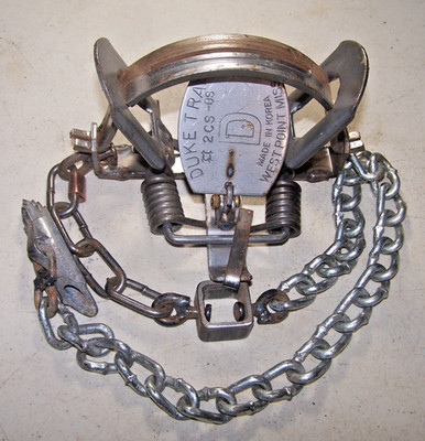 Duke # 2 CS Offset Coil Spring  Coyote Bobcat Fox Lynx Trapping