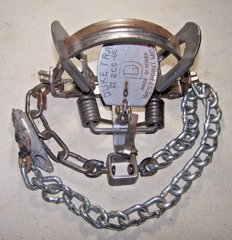 Duke # 2 CS Offset Coil Spring  Coyote Bobcat Fox Lynx Trapping
