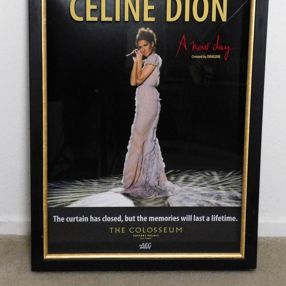 CELINE DION Um Novo Dia Caixa de Sombras emoldurada Promo Caesars Palace Las Vegas AEG 26x20 - Imagem 3 de 4