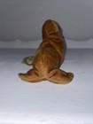 Foto 5 di 8
