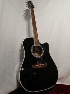 Takamine En10c | eBay