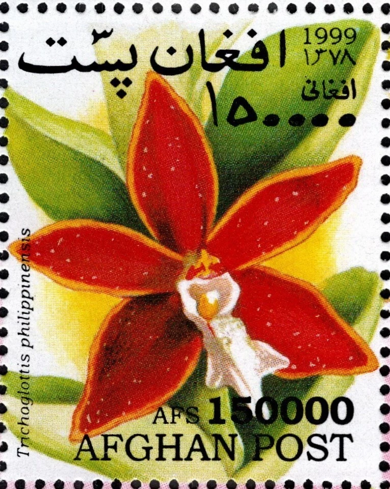 AFGHANISTAN 1999 ORCHIDS, FLOWERS SOUVENIR SHEET SINGLE STAMP MNH - Image 2 of 3