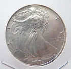 American Eagle Walking Liberty 1995 One Dollar Coin, Fine Silver 1oz