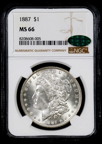 1887 MORGAN SILVER DOLLAR - MS66 NGC CAC - FLASHY BLAST WHITE - PQ COIN #373