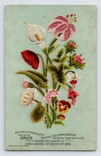 Davis Sewing Machine Embroidery 1890s Victorian Trade Card 5.5" x 3.5"