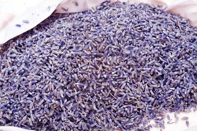 BUXTRADE 1 kg | Fiori di lavanda | Cucina | Profumo | Affumicato | Profumo intenso | Lavanda