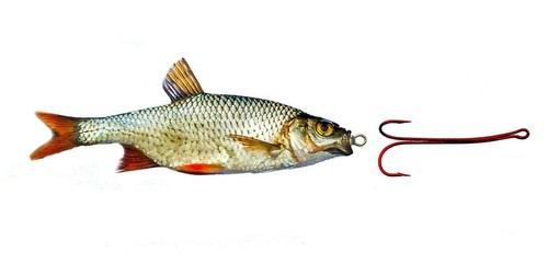 Bavaria Köderfisch-System Geschenk -Set GSUWV verschiedene Varianten - Bild 9 von 22