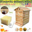 thumbnail 1 - US 7x Auto Honey Hive Beehive Frames Brood + Beekeeping Cedarwood Box House Set
