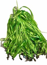 100 Pcs Lanyards Green For ID Badges Nylon L Bulk Clip