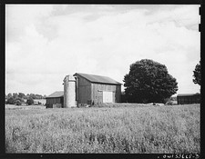 Photo:1930s 1940s Rural Barn Silo Farm Field Large Tree Landscape