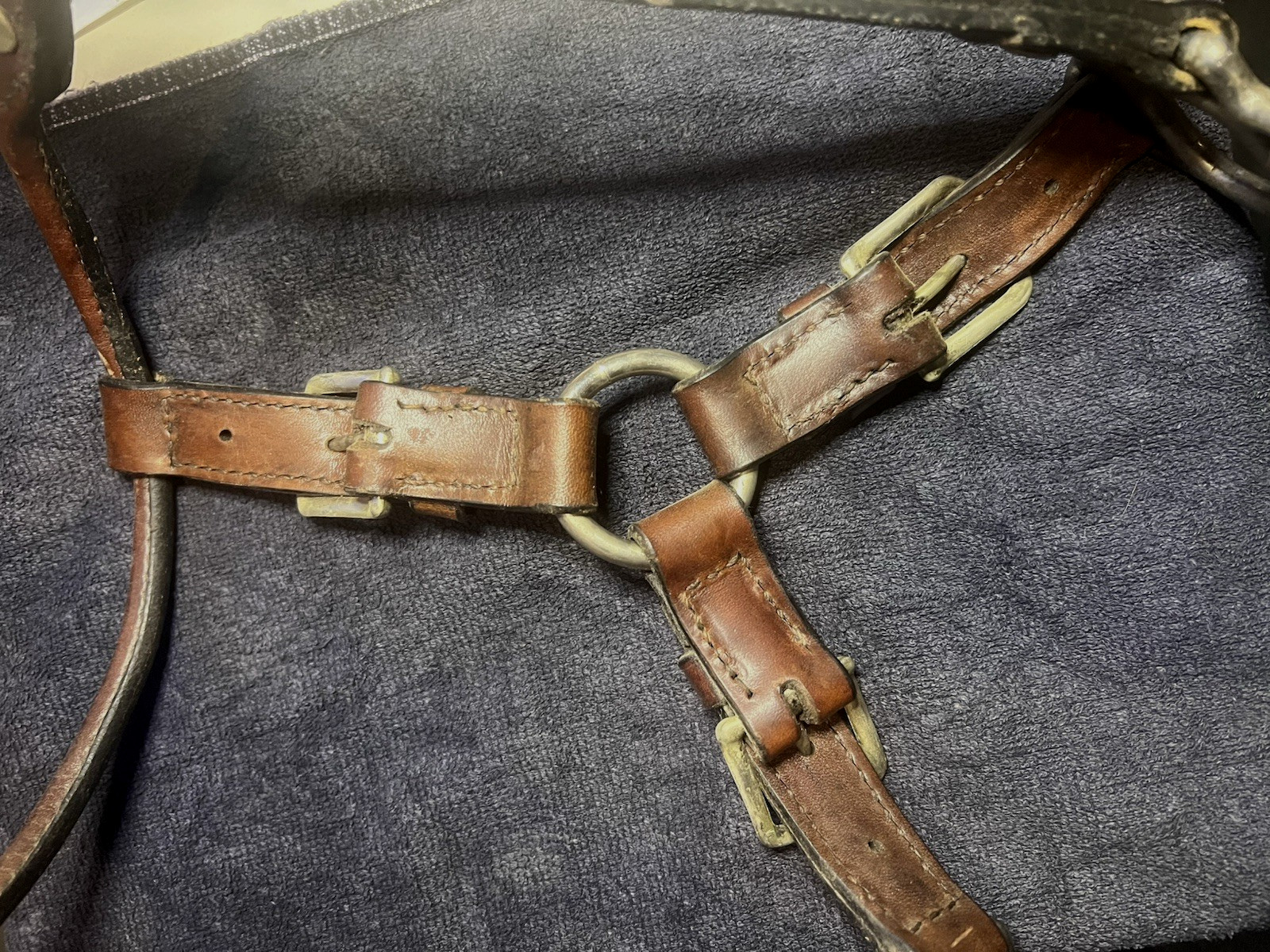 Circle Y ENGRAVED SILVER SHOW HALTER - STANDARD - Headstall Bridle Horse Tack