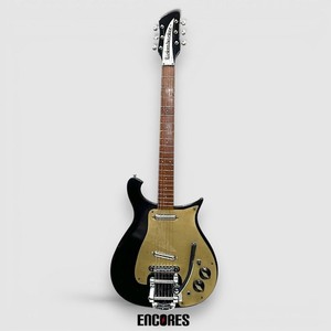 Rickenbacker 320 | eBay