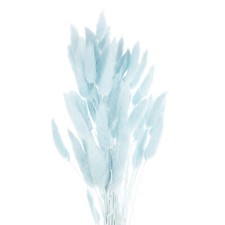 60 St&uuml;ck Nat&uuml;rliche Kaninchenh&auml;schen-Schw&auml;nze Getrocknete Blumen 24", Hellblau