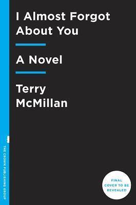 I Almost Forgot About You - Terry McMillan, 1101902574, hardcover