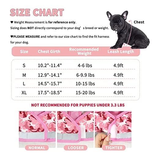 Dog Harness w/ Leash, No Pull Adjustable Reflective Harness with Padded Vest, S