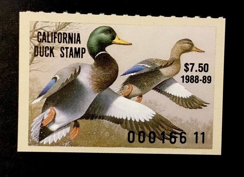 CALIFORNIA STATE DUCK  -  SCOTT# 19  -   MINT NEVER HINGED   -   SCV: $11.00