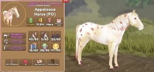 Wild Horse Islands - Valentine's '26 Strawberry Shortcake Appaloosa (PO)