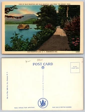 Blue Mountain Lake New York Roadside Lake View Postcard
