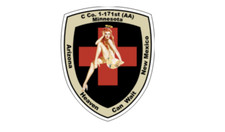 4" army c company 1-171st air ambulance bumper sticker decal usa made