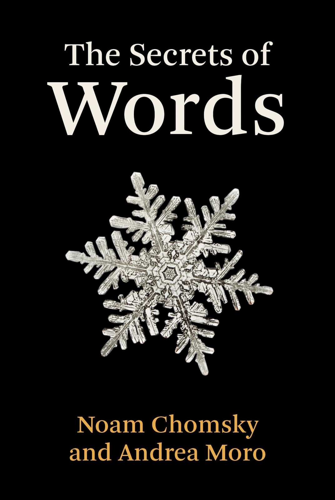 Thumbnail - The Secrets Of Words | Noam Chomsky (u. A.) | Englisch | Buch | 2022