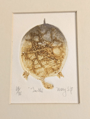 Mary Tift Turtle Signed Limited Edition Intaglio Etching Print 63/75 Matted
