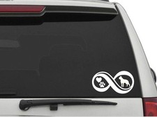 BOSTON TERRIER INFINITY Sticker Decal FREE SHIPPING Car Truck CW2326