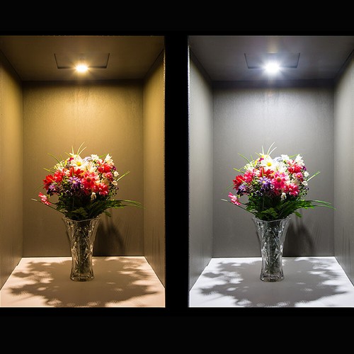 10W 20W 30W 50W 70W 100W LED COB Chip 12V 36V Driver Netzteil Treiber Trafo IP65 - Bild 4 von 16