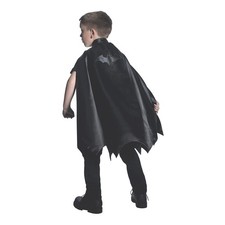 DC Comics Superheroes: Batman Satin Cape for Kids, Boy's No Size