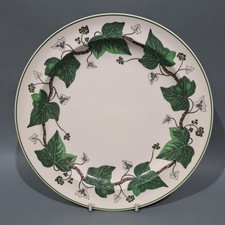 Wedgwood “ Napoleon Ivy “ Dinner Plate