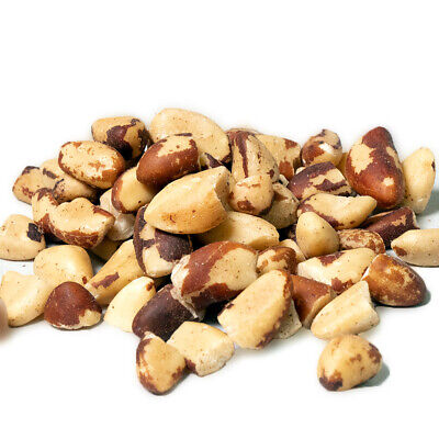 Brazil Nut Pieces —