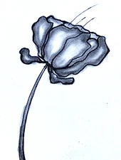 BLACK AND WHITE ART      FLOWER  FREE SHIPPING!!