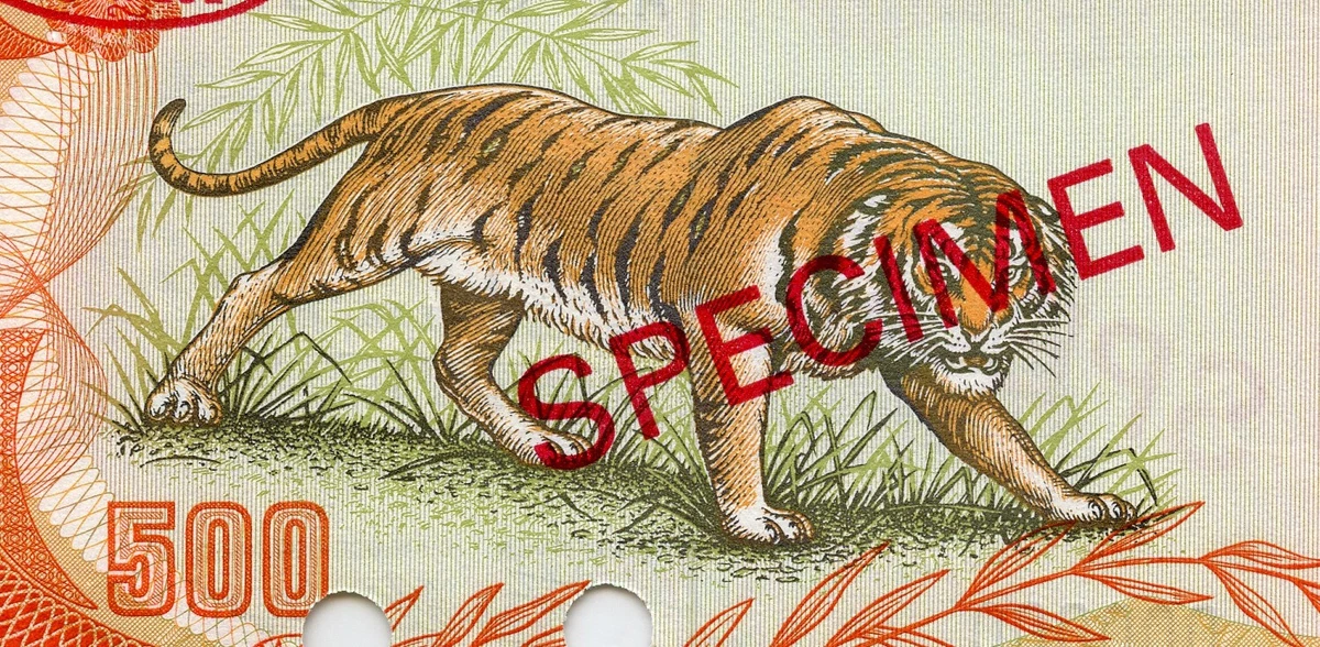 500 ₫ Denomination Vietnamese Paper Money Specimens for sale | eBay