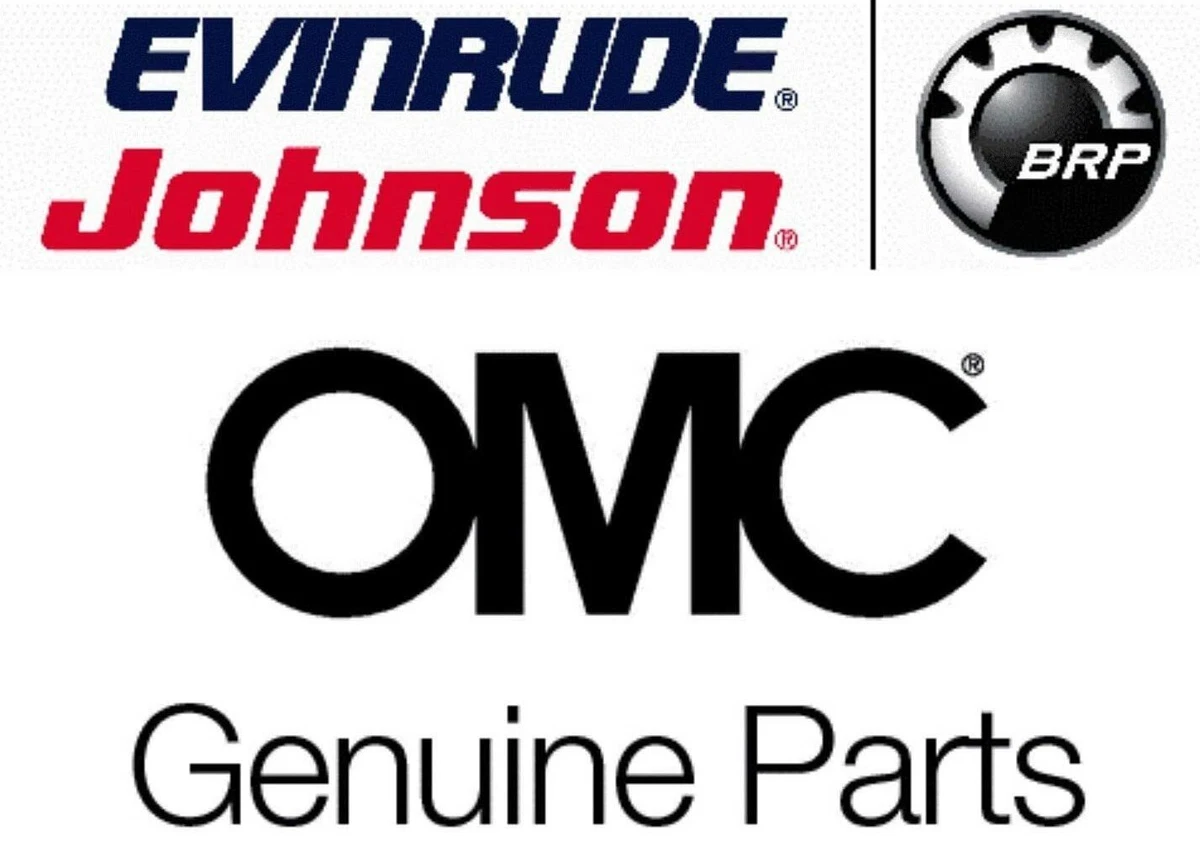 NEW OEM EVINRUDE JOHNSON OMC BRP Gearset 12:29 PN 0397627 | eBay 