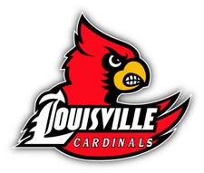 St. Louis Cardinals MLB Baseball Sport Logo Car Bumper Sticker Decal "SIZES''