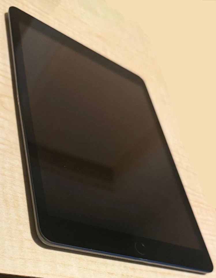 Apple iPad 8 128GB WiFi+4G Space Gray 10.2' inklusive Schutzhülle