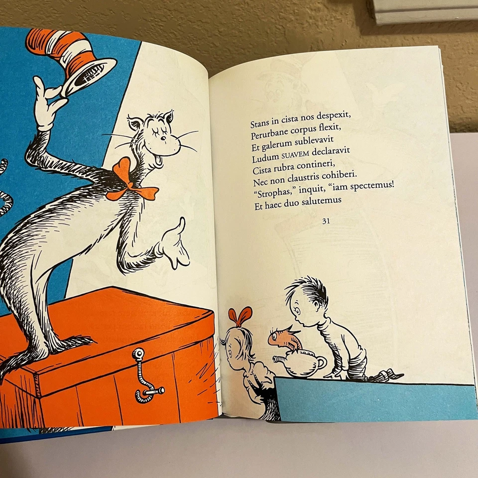 Cattus Petasatus Foto 4 de 4