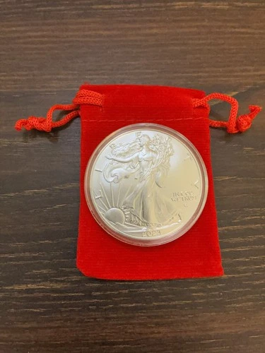 2023 American Silver Eagle 1 oz .999 Fine Silver BU – From Mint Tube