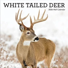 Turner Licensing,  White Tailed Deer 2026 Wall Calendar, 12'' X 12'', 12-Month C