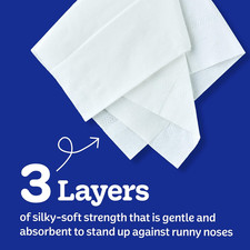 Ultra Soft Facial Tissues, 4 Cube Boxes, 60 Tissues per Box, 3-Ply 240 Total ,