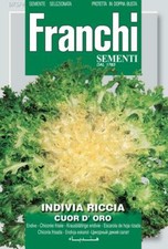 Franchi Seeds Endive Seed