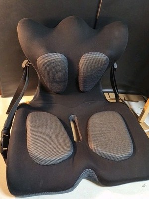 Trigger Point Systems Lifted Lumbar Support Cushion Seat w/Back Rest