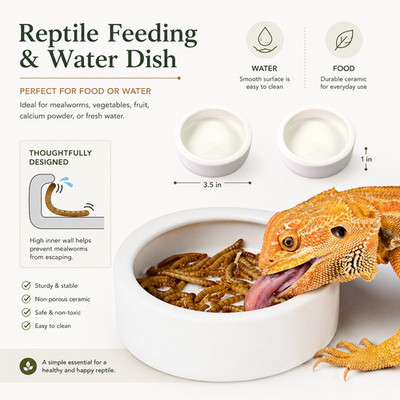 2 Pack Reptile Feeding Bowls | Ceramic Worm & Water Dish | Small White