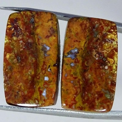 29.00Cts Natural Palm Root Agate Pair Cushion Cabochon Gemstone 13X23X4MM