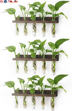 Plant Propagation Station Tubes, 3 Tiered Wall Hanging Mini Glass Test Tubes
